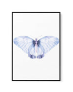 Butterfly III | Framed Canvas-CANVAS-You can shop wall art online with Olive et Oriel for everything from abstract art to fun kids wall art. Our beautiful modern art prints and canvas art are available from large canvas prints to wall art paintings and our proudly Australian artwork collection offers only the highest quality framed large wall art and canvas art Australia - You can buy fashion photography prints or Hampton print posters and paintings on canvas from Olive et Oriel and have them de