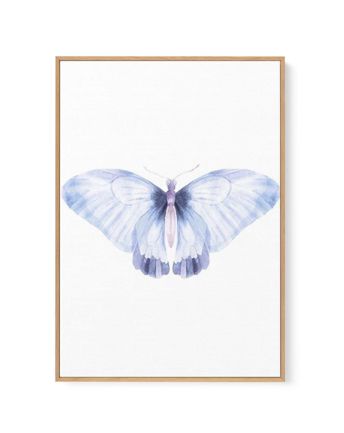 Butterfly III | Framed Canvas-CANVAS-You can shop wall art online with Olive et Oriel for everything from abstract art to fun kids wall art. Our beautiful modern art prints and canvas art are available from large canvas prints to wall art paintings and our proudly Australian artwork collection offers only the highest quality framed large wall art and canvas art Australia - You can buy fashion photography prints or Hampton print posters and paintings on canvas from Olive et Oriel and have them de