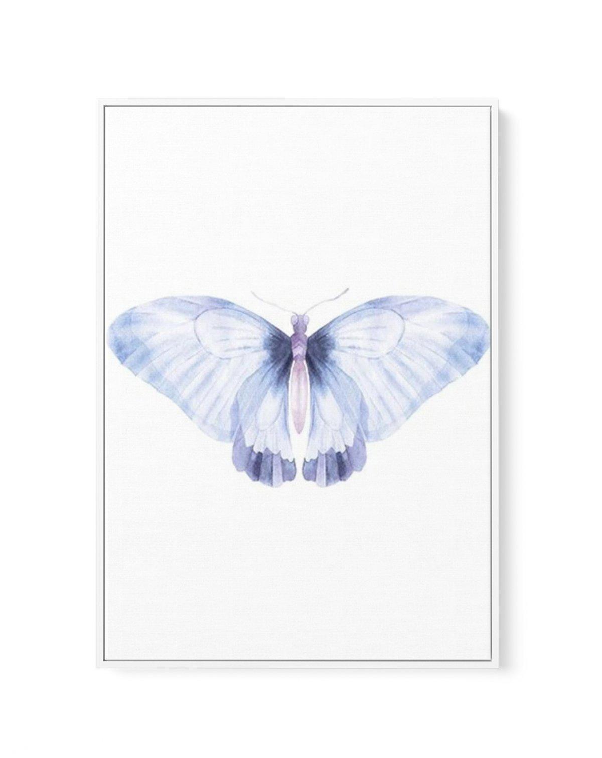 Butterfly III | Framed Canvas-CANVAS-You can shop wall art online with Olive et Oriel for everything from abstract art to fun kids wall art. Our beautiful modern art prints and canvas art are available from large canvas prints to wall art paintings and our proudly Australian artwork collection offers only the highest quality framed large wall art and canvas art Australia - You can buy fashion photography prints or Hampton print posters and paintings on canvas from Olive et Oriel and have them de