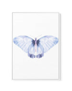 Butterfly III | Framed Canvas-CANVAS-You can shop wall art online with Olive et Oriel for everything from abstract art to fun kids wall art. Our beautiful modern art prints and canvas art are available from large canvas prints to wall art paintings and our proudly Australian artwork collection offers only the highest quality framed large wall art and canvas art Australia - You can buy fashion photography prints or Hampton print posters and paintings on canvas from Olive et Oriel and have them de