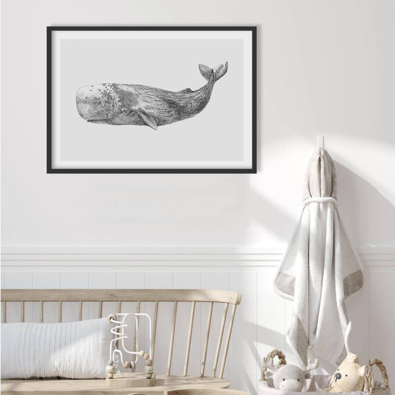 Cachalot Whale | LS Art Print-PRINT-Olive et Oriel-Olive et Oriel-Buy-Australian-Art-Prints-Online-with-Olive-et-Oriel-Your-Artwork-Specialists-Austrailia-Decorate-With-Coastal-Photo-Wall-Art-Prints-From-Our-Beach-House-Artwork-Collection-Fine-Poster-and-Framed-Artwork