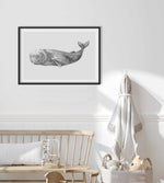 Cachalot Whale | LS Art Print-PRINT-Olive et Oriel-Olive et Oriel-Buy-Australian-Art-Prints-Online-with-Olive-et-Oriel-Your-Artwork-Specialists-Austrailia-Decorate-With-Coastal-Photo-Wall-Art-Prints-From-Our-Beach-House-Artwork-Collection-Fine-Poster-and-Framed-Artwork