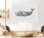 Cachalot Whale | LS Art Print-PRINT-Olive et Oriel-Olive et Oriel-Buy-Australian-Art-Prints-Online-with-Olive-et-Oriel-Your-Artwork-Specialists-Austrailia-Decorate-With-Coastal-Photo-Wall-Art-Prints-From-Our-Beach-House-Artwork-Collection-Fine-Poster-and-Framed-Artwork