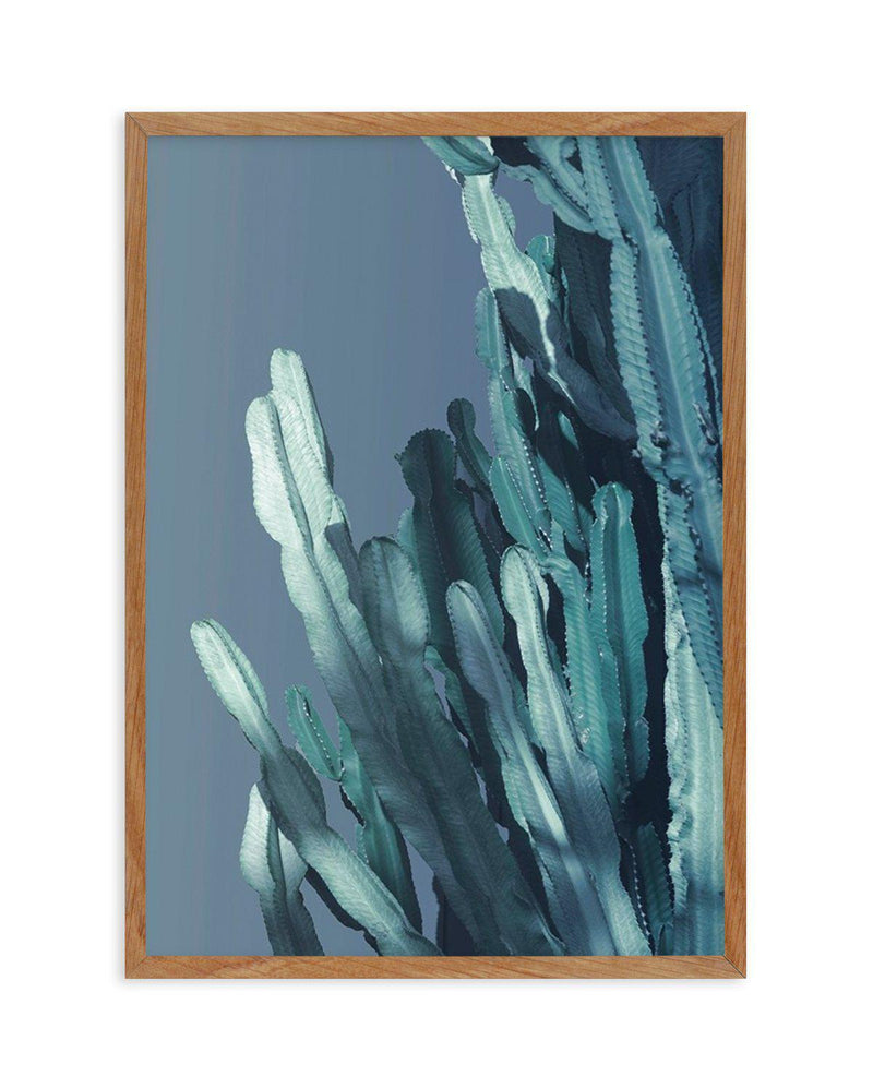 Cactus In Blue I Art Print-PRINT-Olive et Oriel-Olive et Oriel-50x70 cm | 19.6" x 27.5"-Walnut-With White Border-Buy-Australian-Art-Prints-Online-with-Olive-et-Oriel-Your-Artwork-Specialists-Austrailia-Decorate-With-Coastal-Photo-Wall-Art-Prints-From-Our-Beach-House-Artwork-Collection-Fine-Poster-and-Framed-Artwork
