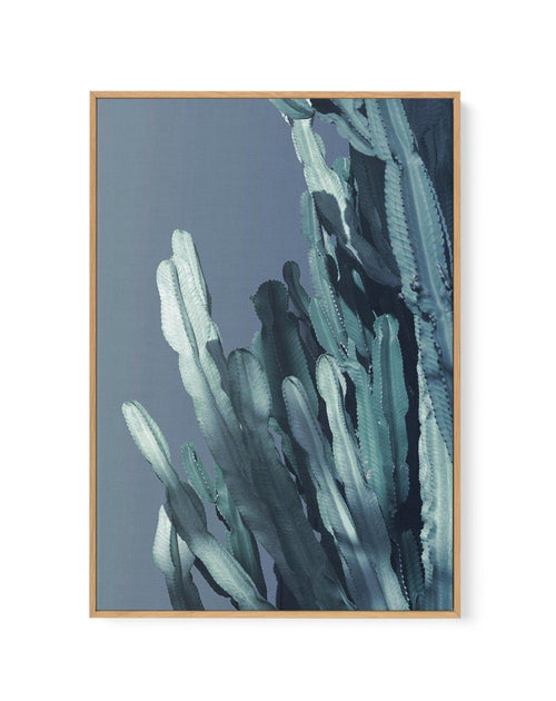 Cactus In Blue I | Framed Canvas-CANVAS-You can shop wall art online with Olive et Oriel for everything from abstract art to fun kids wall art. Our beautiful modern art prints and canvas art are available from large canvas prints to wall art paintings and our proudly Australian artwork collection offers only the highest quality framed large wall art and canvas art Australia - You can buy fashion photography prints or Hampton print posters and paintings on canvas from Olive et Oriel and have them