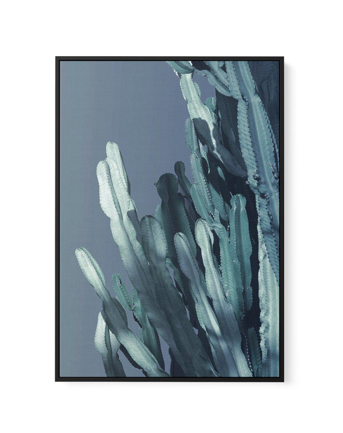 Cactus In Blue I | Framed Canvas-CANVAS-You can shop wall art online with Olive et Oriel for everything from abstract art to fun kids wall art. Our beautiful modern art prints and canvas art are available from large canvas prints to wall art paintings and our proudly Australian artwork collection offers only the highest quality framed large wall art and canvas art Australia - You can buy fashion photography prints or Hampton print posters and paintings on canvas from Olive et Oriel and have them