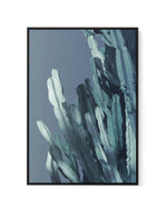 Cactus In Blue I | Framed Canvas-CANVAS-You can shop wall art online with Olive et Oriel for everything from abstract art to fun kids wall art. Our beautiful modern art prints and canvas art are available from large canvas prints to wall art paintings and our proudly Australian artwork collection offers only the highest quality framed large wall art and canvas art Australia - You can buy fashion photography prints or Hampton print posters and paintings on canvas from Olive et Oriel and have them