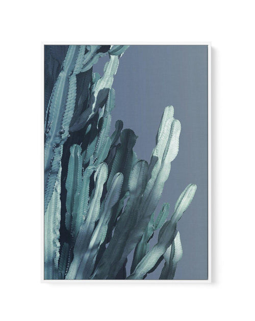 Cactus In Blue II | Framed Canvas-CANVAS-You can shop wall art online with Olive et Oriel for everything from abstract art to fun kids wall art. Our beautiful modern art prints and canvas art are available from large canvas prints to wall art paintings and our proudly Australian artwork collection offers only the highest quality framed large wall art and canvas art Australia - You can buy fashion photography prints or Hampton print posters and paintings on canvas from Olive et Oriel and have the