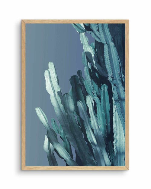 Cactus In Blue I Art Print-PRINT-Olive et Oriel-Olive et Oriel-A4 | 8.3" x 11.7" | 21 x 29.7cm-Oak-With White Border-Buy-Australian-Art-Prints-Online-with-Olive-et-Oriel-Your-Artwork-Specialists-Austrailia-Decorate-With-Coastal-Photo-Wall-Art-Prints-From-Our-Beach-House-Artwork-Collection-Fine-Poster-and-Framed-Artwork