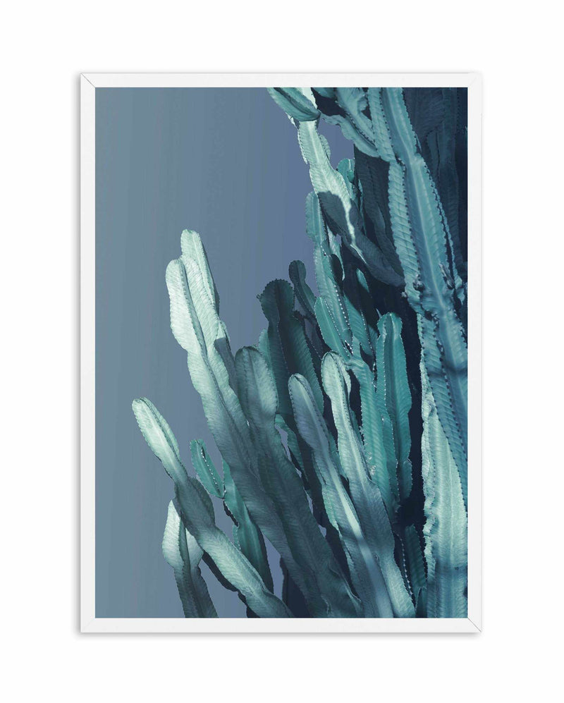 Cactus In Blue I Art Print-PRINT-Olive et Oriel-Olive et Oriel-A4 | 8.3" x 11.7" | 21 x 29.7cm-White-With White Border-Buy-Australian-Art-Prints-Online-with-Olive-et-Oriel-Your-Artwork-Specialists-Austrailia-Decorate-With-Coastal-Photo-Wall-Art-Prints-From-Our-Beach-House-Artwork-Collection-Fine-Poster-and-Framed-Artwork