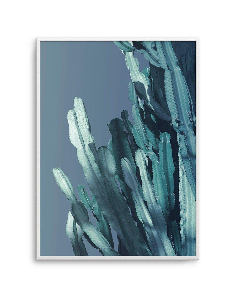 Cactus In Blue I Art Print-PRINT-Olive et Oriel-Olive et Oriel-A5 | 5.8" x 8.3" | 14.8 x 21cm-Unframed Art Print-With White Border-Buy-Australian-Art-Prints-Online-with-Olive-et-Oriel-Your-Artwork-Specialists-Austrailia-Decorate-With-Coastal-Photo-Wall-Art-Prints-From-Our-Beach-House-Artwork-Collection-Fine-Poster-and-Framed-Artwork