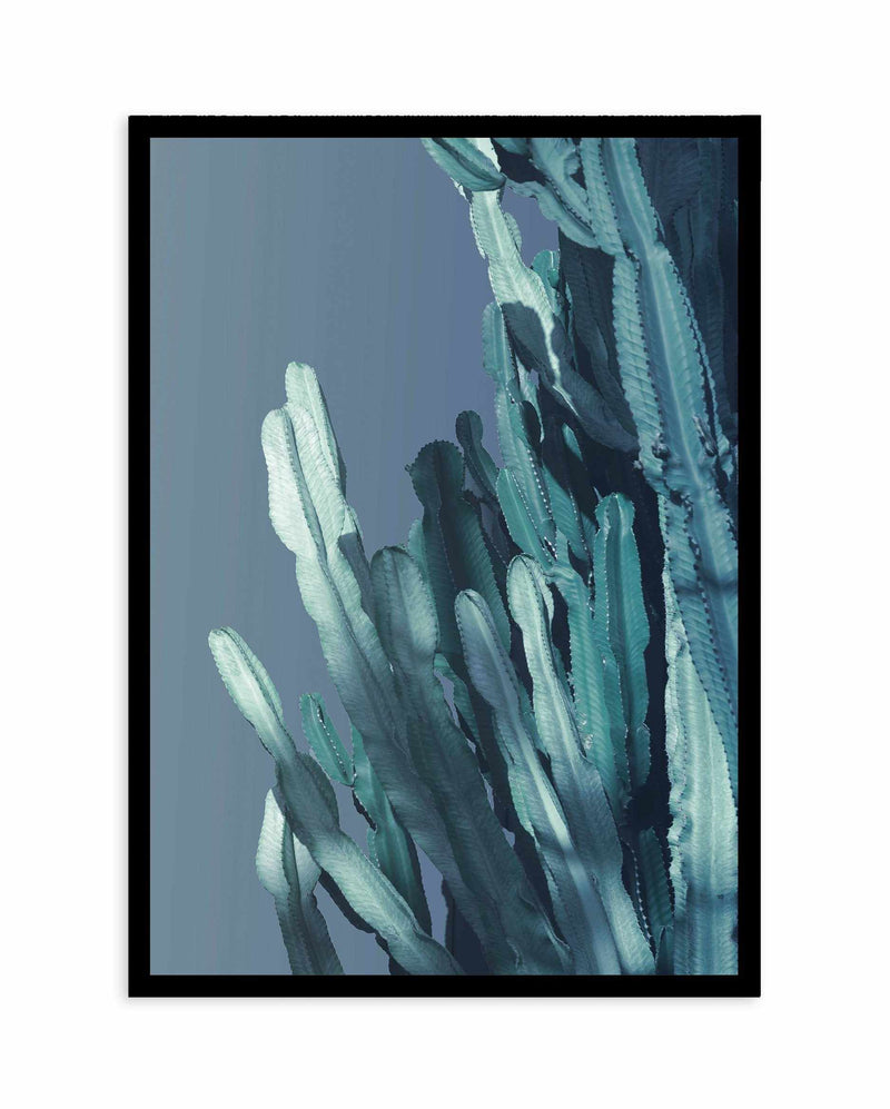 Cactus In Blue I Art Print-PRINT-Olive et Oriel-Olive et Oriel-A4 | 8.3" x 11.7" | 21 x 29.7cm-Black-With White Border-Buy-Australian-Art-Prints-Online-with-Olive-et-Oriel-Your-Artwork-Specialists-Austrailia-Decorate-With-Coastal-Photo-Wall-Art-Prints-From-Our-Beach-House-Artwork-Collection-Fine-Poster-and-Framed-Artwork