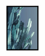 Cactus In Blue II Art Print-PRINT-Olive et Oriel-Olive et Oriel-A4 | 8.3" x 11.7" | 21 x 29.7cm-Black-With White Border-Buy-Australian-Art-Prints-Online-with-Olive-et-Oriel-Your-Artwork-Specialists-Austrailia-Decorate-With-Coastal-Photo-Wall-Art-Prints-From-Our-Beach-House-Artwork-Collection-Fine-Poster-and-Framed-Artwork