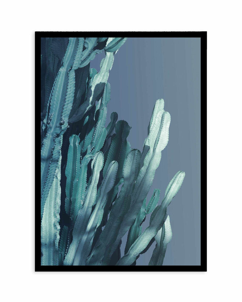 Cactus In Blue II Art Print-PRINT-Olive et Oriel-Olive et Oriel-A4 | 8.3" x 11.7" | 21 x 29.7cm-Black-With White Border-Buy-Australian-Art-Prints-Online-with-Olive-et-Oriel-Your-Artwork-Specialists-Austrailia-Decorate-With-Coastal-Photo-Wall-Art-Prints-From-Our-Beach-House-Artwork-Collection-Fine-Poster-and-Framed-Artwork