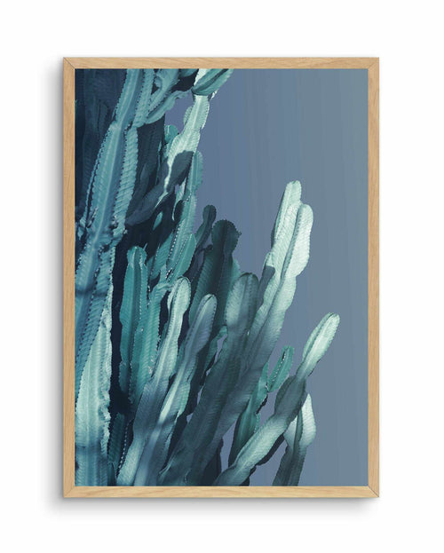Cactus In Blue II Art Print-PRINT-Olive et Oriel-Olive et Oriel-A4 | 8.3" x 11.7" | 21 x 29.7cm-Oak-With White Border-Buy-Australian-Art-Prints-Online-with-Olive-et-Oriel-Your-Artwork-Specialists-Austrailia-Decorate-With-Coastal-Photo-Wall-Art-Prints-From-Our-Beach-House-Artwork-Collection-Fine-Poster-and-Framed-Artwork