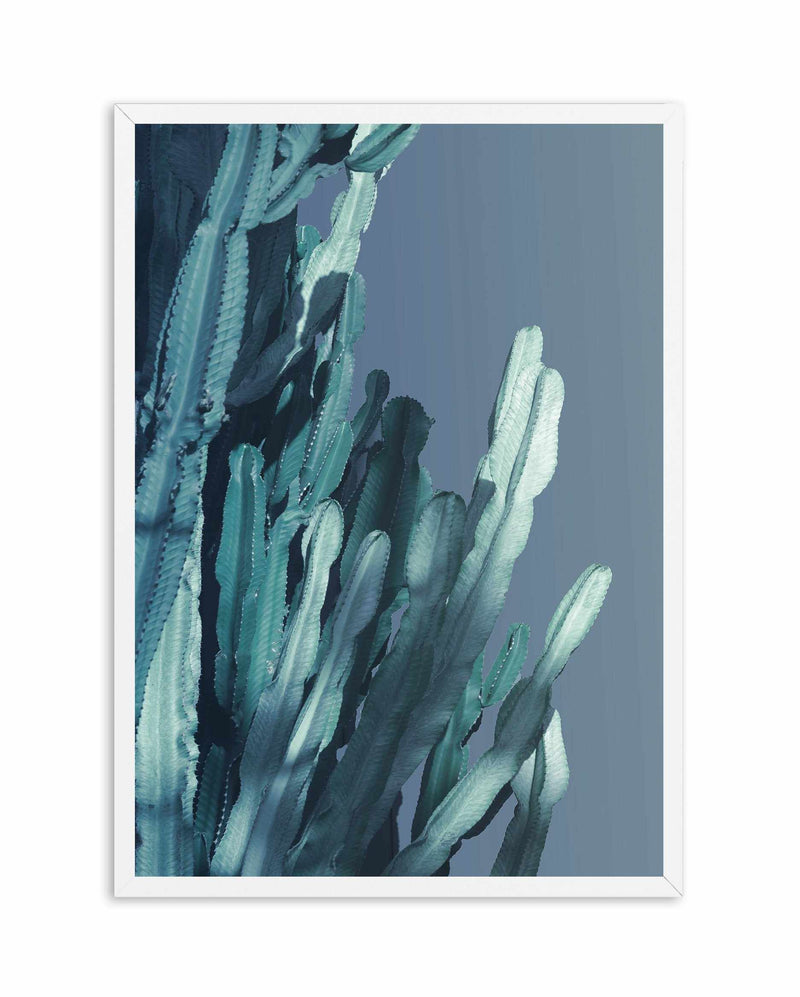 Cactus In Blue II Art Print-PRINT-Olive et Oriel-Olive et Oriel-A4 | 8.3" x 11.7" | 21 x 29.7cm-White-With White Border-Buy-Australian-Art-Prints-Online-with-Olive-et-Oriel-Your-Artwork-Specialists-Austrailia-Decorate-With-Coastal-Photo-Wall-Art-Prints-From-Our-Beach-House-Artwork-Collection-Fine-Poster-and-Framed-Artwork