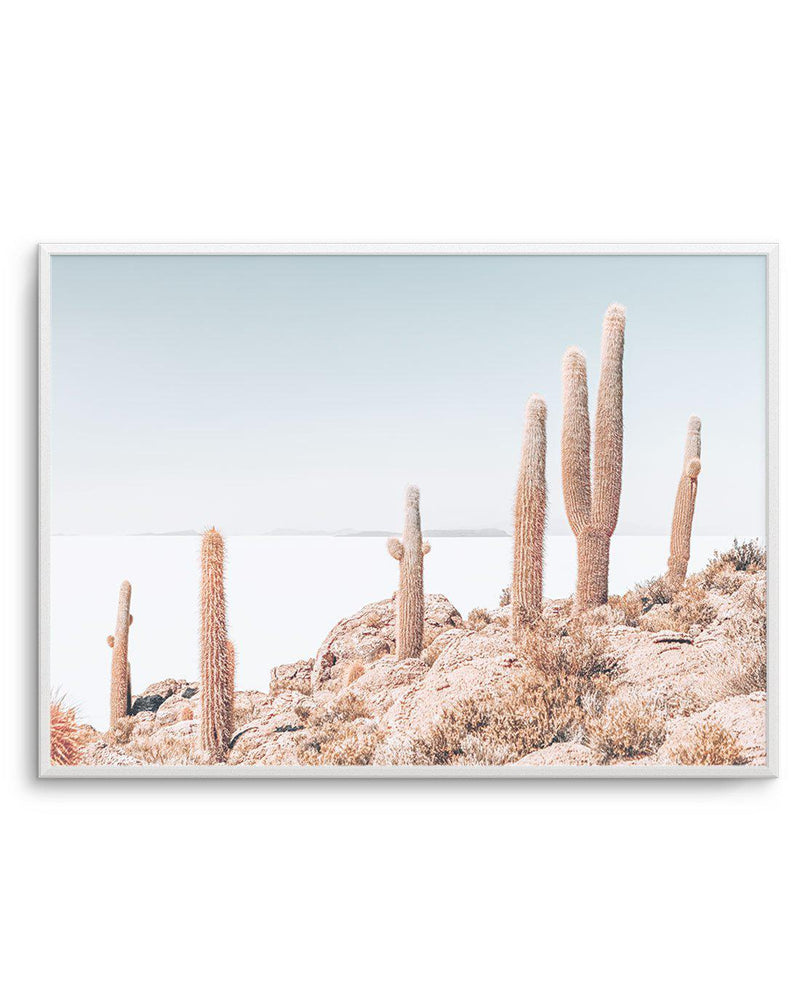 Cactus Island | Bolivia Art Print-PRINT-Olive et Oriel-Olive et Oriel-A5 | 5.8" x 8.3" | 14.8 x 21cm-Unframed Art Print-With White Border-Buy-Australian-Art-Prints-Online-with-Olive-et-Oriel-Your-Artwork-Specialists-Austrailia-Decorate-With-Coastal-Photo-Wall-Art-Prints-From-Our-Beach-House-Artwork-Collection-Fine-Poster-and-Framed-Artwork