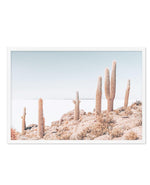 Cactus Island | Bolivia Art Print-PRINT-Olive et Oriel-Olive et Oriel-A5 | 5.8" x 8.3" | 14.8 x 21cm-White-With White Border-Buy-Australian-Art-Prints-Online-with-Olive-et-Oriel-Your-Artwork-Specialists-Austrailia-Decorate-With-Coastal-Photo-Wall-Art-Prints-From-Our-Beach-House-Artwork-Collection-Fine-Poster-and-Framed-Artwork