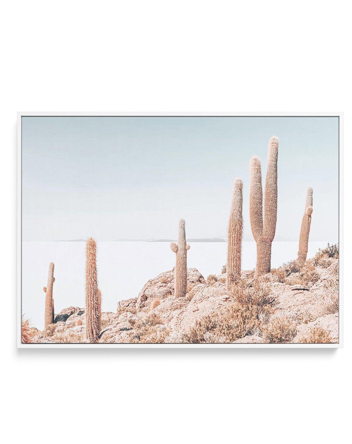 Cactus Island | Bolivia | Framed Canvas-CANVAS-You can shop wall art online with Olive et Oriel for everything from abstract art to fun kids wall art. Our beautiful modern art prints and canvas art are available from large canvas prints to wall art paintings and our proudly Australian artwork collection offers only the highest quality framed large wall art and canvas art Australia - You can buy fashion photography prints or Hampton print posters and paintings on canvas from Olive et Oriel and ha