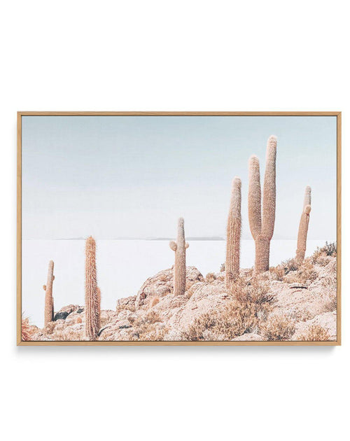 Cactus Island | Bolivia | Framed Canvas-CANVAS-You can shop wall art online with Olive et Oriel for everything from abstract art to fun kids wall art. Our beautiful modern art prints and canvas art are available from large canvas prints to wall art paintings and our proudly Australian artwork collection offers only the highest quality framed large wall art and canvas art Australia - You can buy fashion photography prints or Hampton print posters and paintings on canvas from Olive et Oriel and ha
