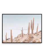 Cactus Island | Bolivia | Framed Canvas-CANVAS-You can shop wall art online with Olive et Oriel for everything from abstract art to fun kids wall art. Our beautiful modern art prints and canvas art are available from large canvas prints to wall art paintings and our proudly Australian artwork collection offers only the highest quality framed large wall art and canvas art Australia - You can buy fashion photography prints or Hampton print posters and paintings on canvas from Olive et Oriel and ha
