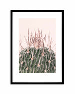 Cactus On Pink I Art Print-PRINT-Olive et Oriel-Olive et Oriel-A5 | 5.8" x 8.3" | 14.8 x 21cm-Black-With White Border-Buy-Australian-Art-Prints-Online-with-Olive-et-Oriel-Your-Artwork-Specialists-Austrailia-Decorate-With-Coastal-Photo-Wall-Art-Prints-From-Our-Beach-House-Artwork-Collection-Fine-Poster-and-Framed-Artwork