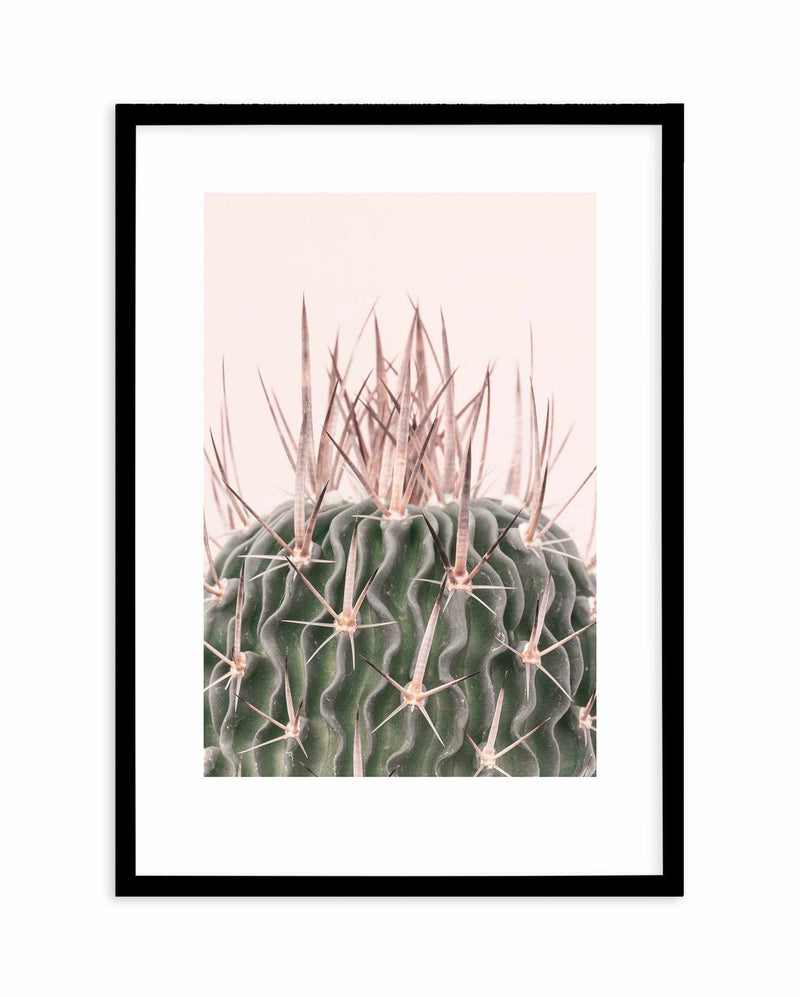 Cactus On Pink I Art Print-PRINT-Olive et Oriel-Olive et Oriel-A5 | 5.8" x 8.3" | 14.8 x 21cm-Black-With White Border-Buy-Australian-Art-Prints-Online-with-Olive-et-Oriel-Your-Artwork-Specialists-Austrailia-Decorate-With-Coastal-Photo-Wall-Art-Prints-From-Our-Beach-House-Artwork-Collection-Fine-Poster-and-Framed-Artwork