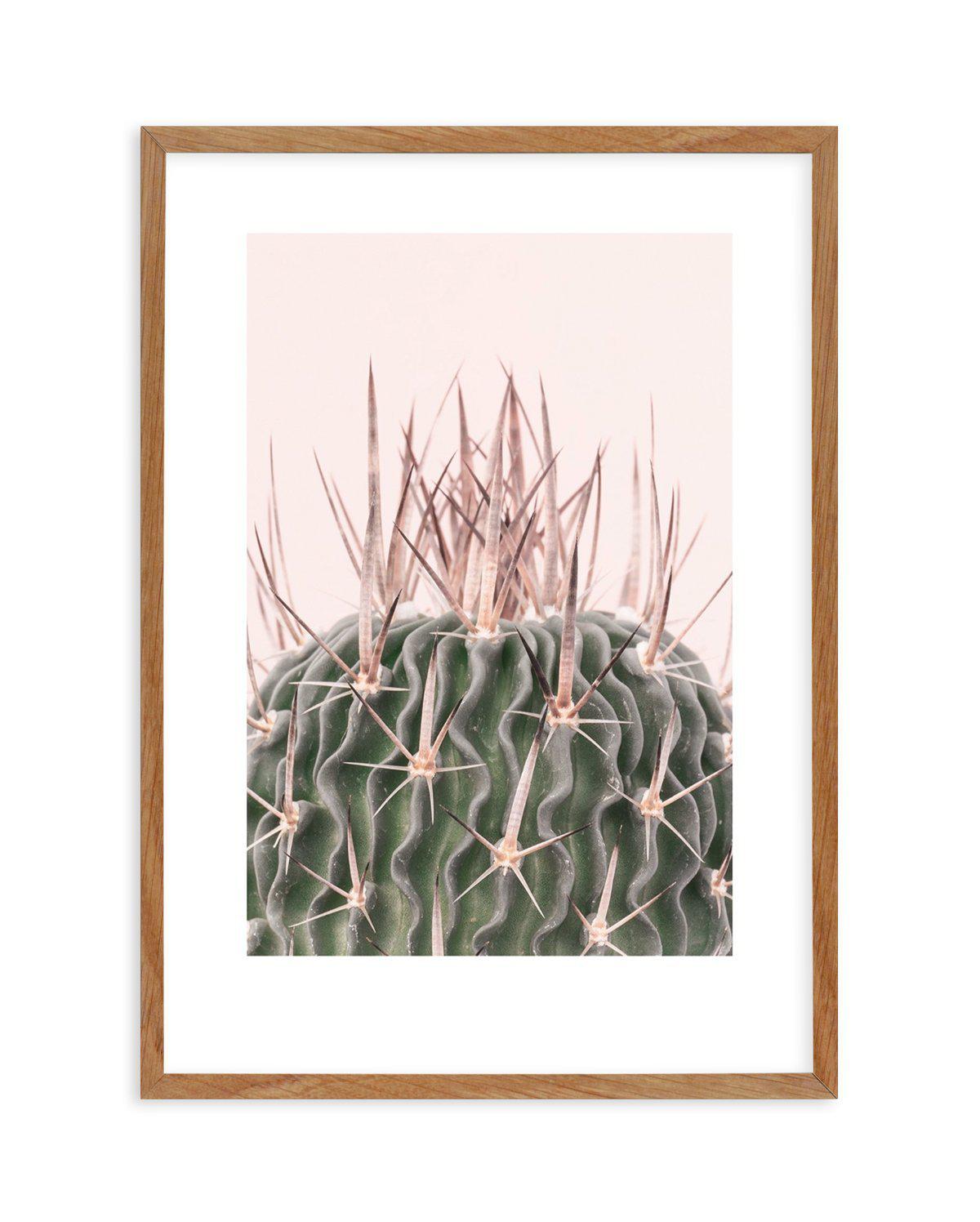 Cactus On Pink I Art Print-PRINT-Olive et Oriel-Olive et Oriel-50x70 cm | 19.6" x 27.5"-Walnut-With White Border-Buy-Australian-Art-Prints-Online-with-Olive-et-Oriel-Your-Artwork-Specialists-Austrailia-Decorate-With-Coastal-Photo-Wall-Art-Prints-From-Our-Beach-House-Artwork-Collection-Fine-Poster-and-Framed-Artwork