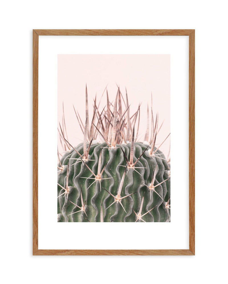 Cactus On Pink I Art Print-PRINT-Olive et Oriel-Olive et Oriel-50x70 cm | 19.6" x 27.5"-Walnut-With White Border-Buy-Australian-Art-Prints-Online-with-Olive-et-Oriel-Your-Artwork-Specialists-Austrailia-Decorate-With-Coastal-Photo-Wall-Art-Prints-From-Our-Beach-House-Artwork-Collection-Fine-Poster-and-Framed-Artwork