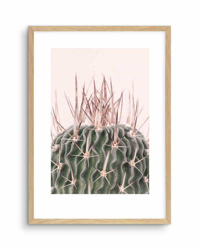 Cactus On Pink I Art Print-PRINT-Olive et Oriel-Olive et Oriel-A5 | 5.8" x 8.3" | 14.8 x 21cm-Oak-With White Border-Buy-Australian-Art-Prints-Online-with-Olive-et-Oriel-Your-Artwork-Specialists-Austrailia-Decorate-With-Coastal-Photo-Wall-Art-Prints-From-Our-Beach-House-Artwork-Collection-Fine-Poster-and-Framed-Artwork
