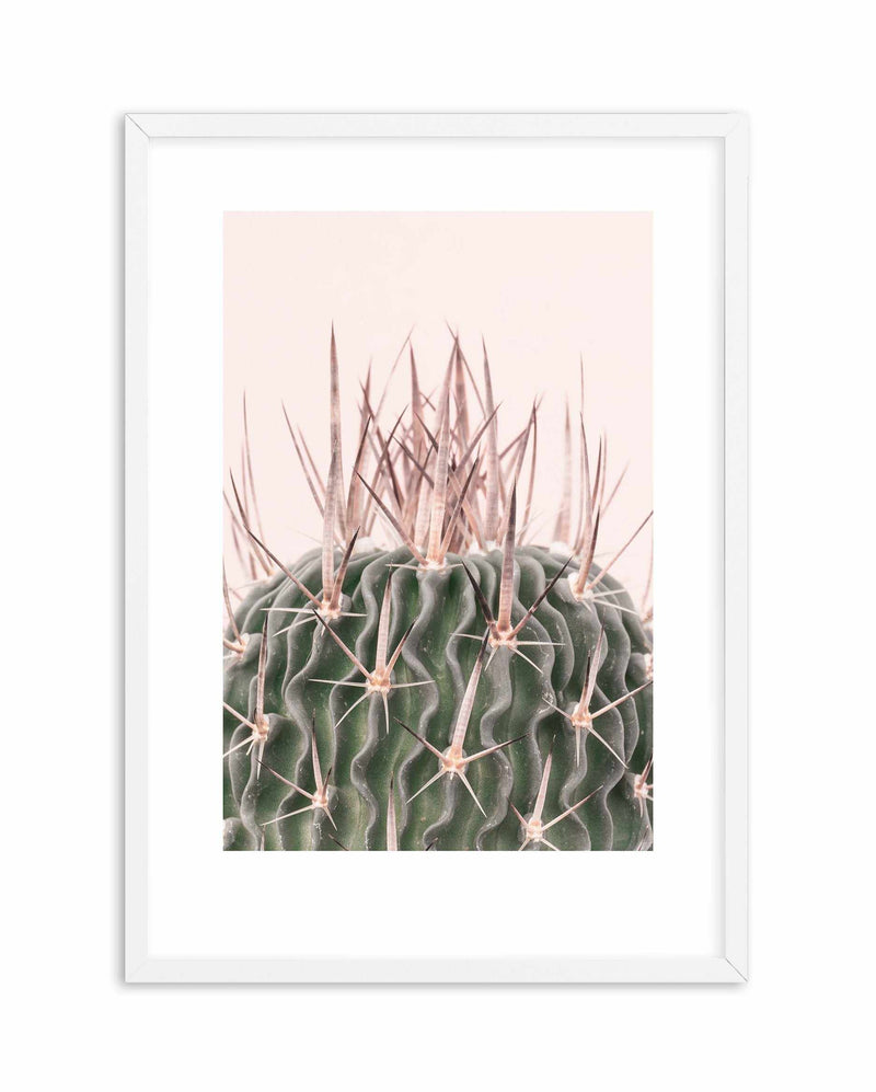Cactus On Pink I Art Print-PRINT-Olive et Oriel-Olive et Oriel-A5 | 5.8" x 8.3" | 14.8 x 21cm-White-With White Border-Buy-Australian-Art-Prints-Online-with-Olive-et-Oriel-Your-Artwork-Specialists-Austrailia-Decorate-With-Coastal-Photo-Wall-Art-Prints-From-Our-Beach-House-Artwork-Collection-Fine-Poster-and-Framed-Artwork