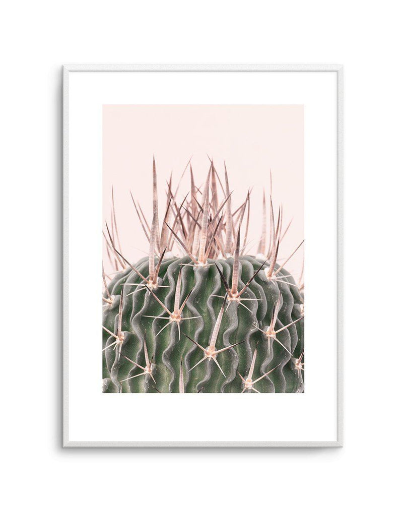 Cactus On Pink I Art Print-PRINT-Olive et Oriel-Olive et Oriel-A5 | 5.8" x 8.3" | 14.8 x 21cm-Unframed Art Print-With White Border-Buy-Australian-Art-Prints-Online-with-Olive-et-Oriel-Your-Artwork-Specialists-Austrailia-Decorate-With-Coastal-Photo-Wall-Art-Prints-From-Our-Beach-House-Artwork-Collection-Fine-Poster-and-Framed-Artwork