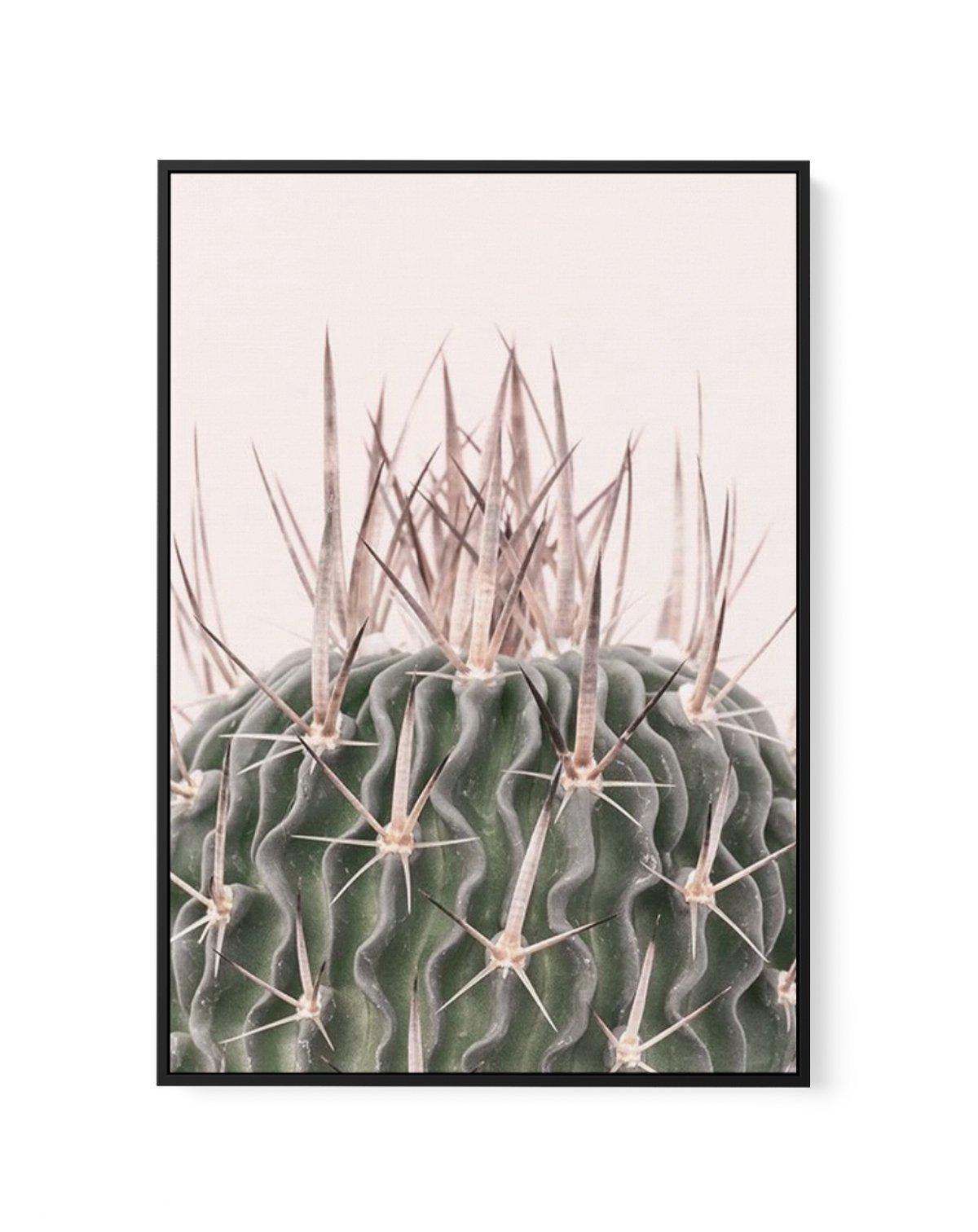 Cactus On Pink I | Framed Canvas-CANVAS-You can shop wall art online with Olive et Oriel for everything from abstract art to fun kids wall art. Our beautiful modern art prints and canvas art are available from large canvas prints to wall art paintings and our proudly Australian artwork collection offers only the highest quality framed large wall art and canvas art Australia - You can buy fashion photography prints or Hampton print posters and paintings on canvas from Olive et Oriel and have them