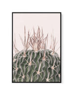 Cactus On Pink I | Framed Canvas-CANVAS-You can shop wall art online with Olive et Oriel for everything from abstract art to fun kids wall art. Our beautiful modern art prints and canvas art are available from large canvas prints to wall art paintings and our proudly Australian artwork collection offers only the highest quality framed large wall art and canvas art Australia - You can buy fashion photography prints or Hampton print posters and paintings on canvas from Olive et Oriel and have them