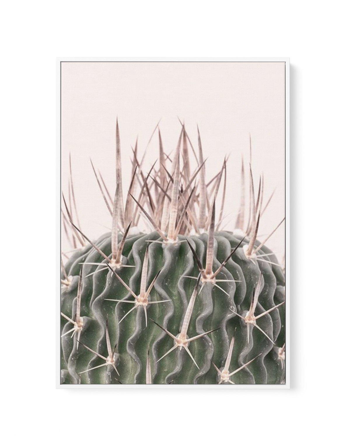 Cactus On Pink I | Framed Canvas-CANVAS-You can shop wall art online with Olive et Oriel for everything from abstract art to fun kids wall art. Our beautiful modern art prints and canvas art are available from large canvas prints to wall art paintings and our proudly Australian artwork collection offers only the highest quality framed large wall art and canvas art Australia - You can buy fashion photography prints or Hampton print posters and paintings on canvas from Olive et Oriel and have them