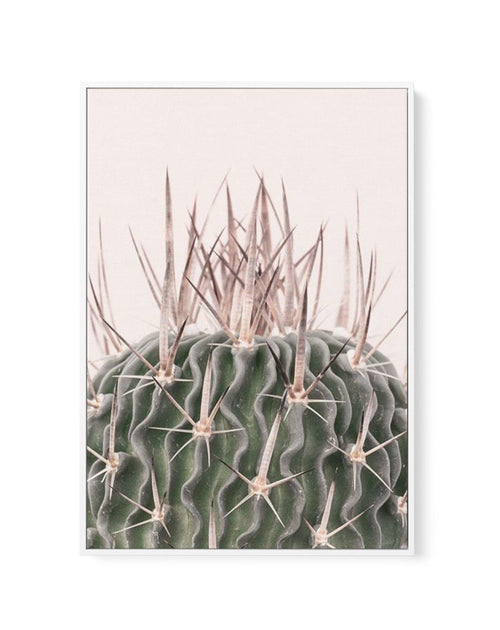 Cactus On Pink I | Framed Canvas-CANVAS-You can shop wall art online with Olive et Oriel for everything from abstract art to fun kids wall art. Our beautiful modern art prints and canvas art are available from large canvas prints to wall art paintings and our proudly Australian artwork collection offers only the highest quality framed large wall art and canvas art Australia - You can buy fashion photography prints or Hampton print posters and paintings on canvas from Olive et Oriel and have them