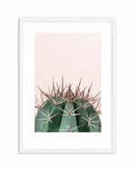 Cactus On Pink II Art Print-PRINT-Olive et Oriel-Olive et Oriel-A5 | 5.8" x 8.3" | 14.8 x 21cm-White-With White Border-Buy-Australian-Art-Prints-Online-with-Olive-et-Oriel-Your-Artwork-Specialists-Austrailia-Decorate-With-Coastal-Photo-Wall-Art-Prints-From-Our-Beach-House-Artwork-Collection-Fine-Poster-and-Framed-Artwork