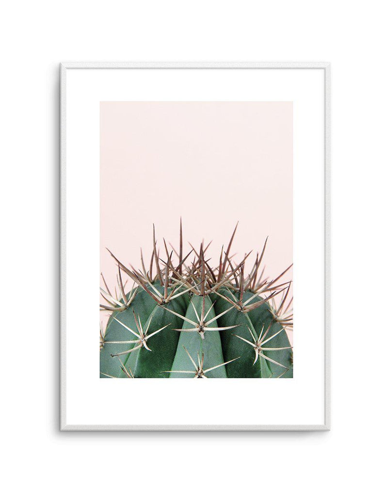 Cactus On Pink II Art Print-PRINT-Olive et Oriel-Olive et Oriel-A5 | 5.8" x 8.3" | 14.8 x 21cm-Unframed Art Print-With White Border-Buy-Australian-Art-Prints-Online-with-Olive-et-Oriel-Your-Artwork-Specialists-Austrailia-Decorate-With-Coastal-Photo-Wall-Art-Prints-From-Our-Beach-House-Artwork-Collection-Fine-Poster-and-Framed-Artwork