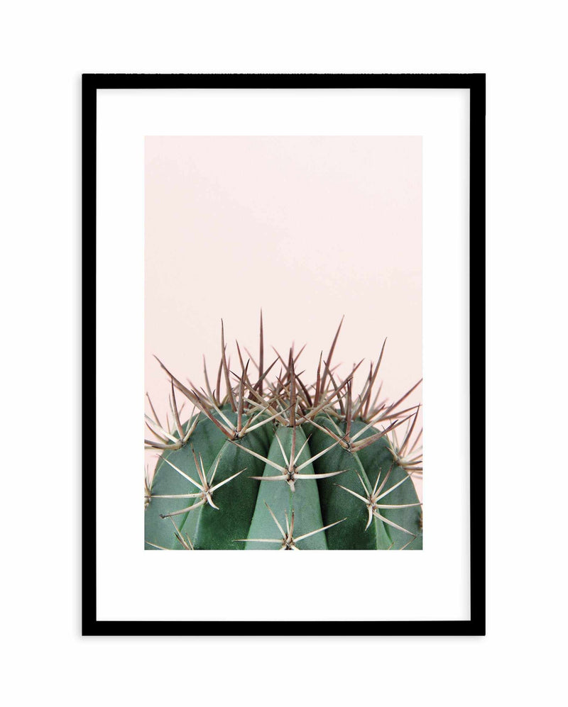 Cactus On Pink II Art Print-PRINT-Olive et Oriel-Olive et Oriel-A5 | 5.8" x 8.3" | 14.8 x 21cm-Black-With White Border-Buy-Australian-Art-Prints-Online-with-Olive-et-Oriel-Your-Artwork-Specialists-Austrailia-Decorate-With-Coastal-Photo-Wall-Art-Prints-From-Our-Beach-House-Artwork-Collection-Fine-Poster-and-Framed-Artwork