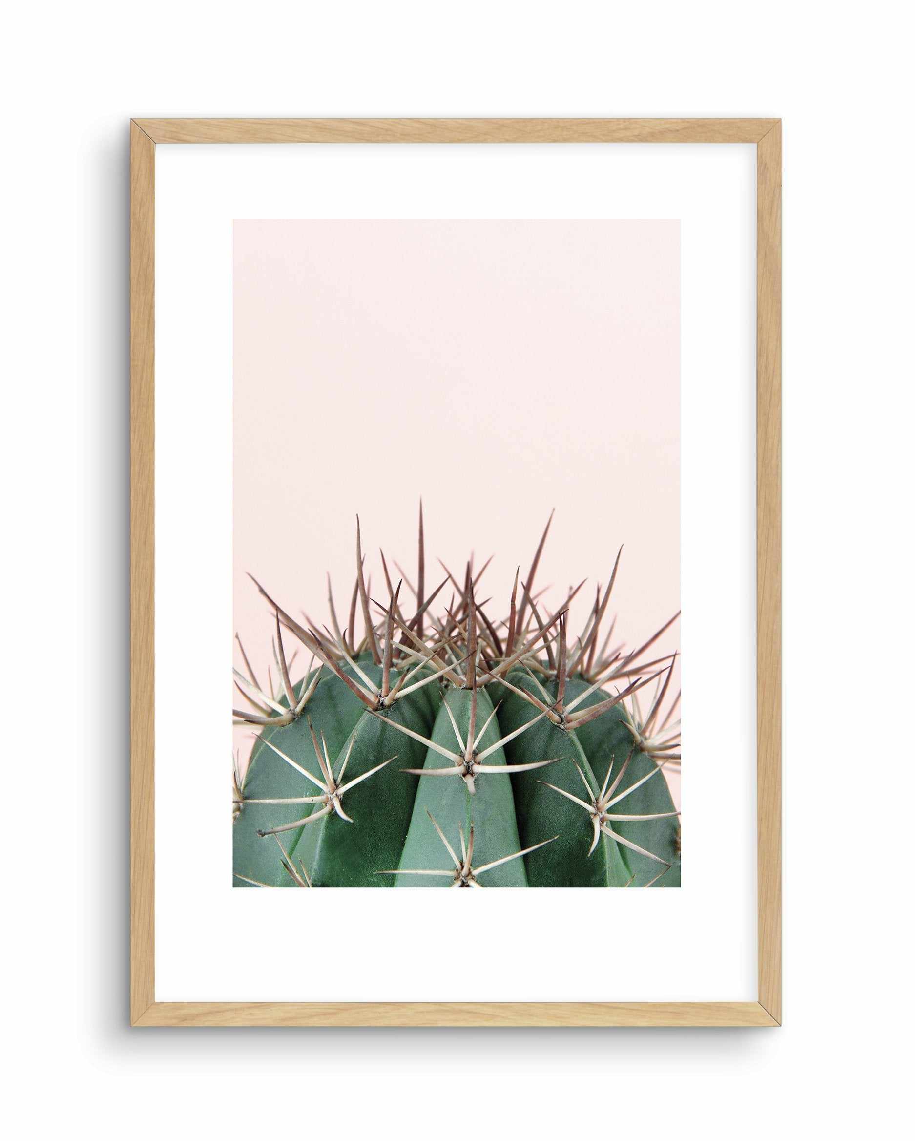 Cactus On Pink II Art Print-PRINT-Olive et Oriel-Olive et Oriel-A5 | 5.8" x 8.3" | 14.8 x 21cm-Oak-With White Border-Buy-Australian-Art-Prints-Online-with-Olive-et-Oriel-Your-Artwork-Specialists-Austrailia-Decorate-With-Coastal-Photo-Wall-Art-Prints-From-Our-Beach-House-Artwork-Collection-Fine-Poster-and-Framed-Artwork