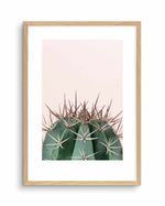 Cactus On Pink II Art Print-PRINT-Olive et Oriel-Olive et Oriel-A5 | 5.8" x 8.3" | 14.8 x 21cm-Oak-With White Border-Buy-Australian-Art-Prints-Online-with-Olive-et-Oriel-Your-Artwork-Specialists-Austrailia-Decorate-With-Coastal-Photo-Wall-Art-Prints-From-Our-Beach-House-Artwork-Collection-Fine-Poster-and-Framed-Artwork