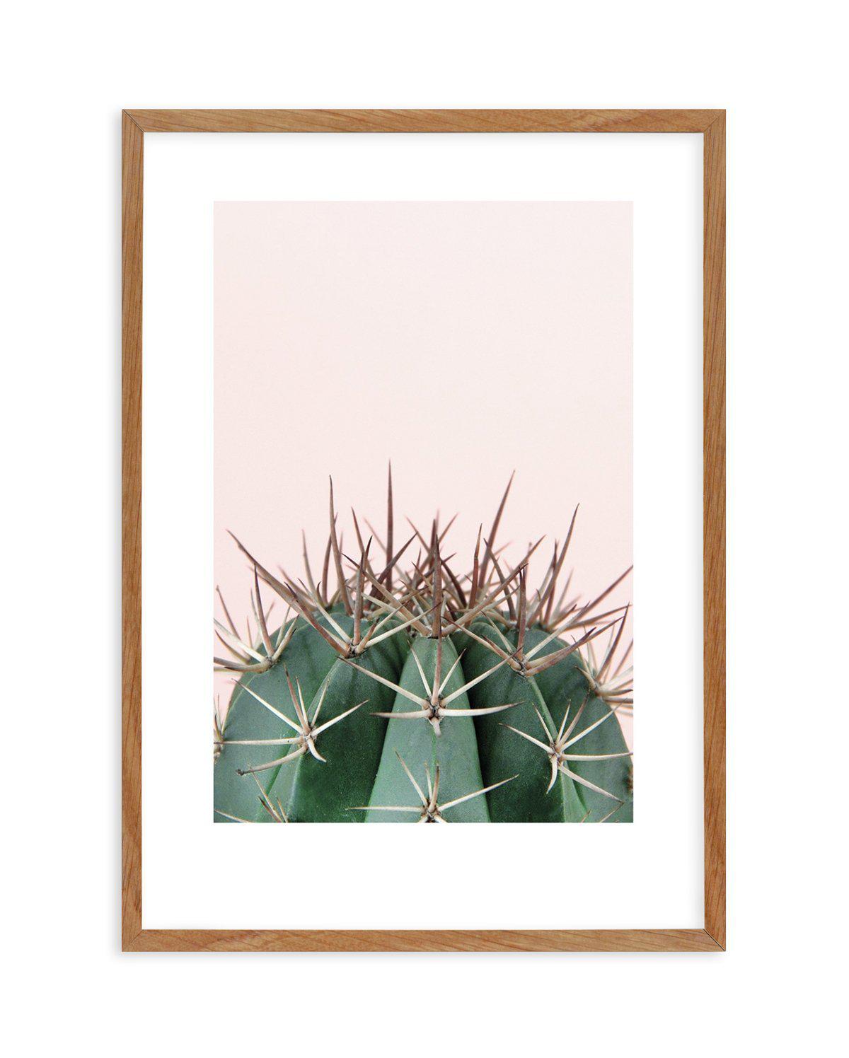 Cactus On Pink II Art Print-PRINT-Olive et Oriel-Olive et Oriel-50x70 cm | 19.6" x 27.5"-Walnut-With White Border-Buy-Australian-Art-Prints-Online-with-Olive-et-Oriel-Your-Artwork-Specialists-Austrailia-Decorate-With-Coastal-Photo-Wall-Art-Prints-From-Our-Beach-House-Artwork-Collection-Fine-Poster-and-Framed-Artwork