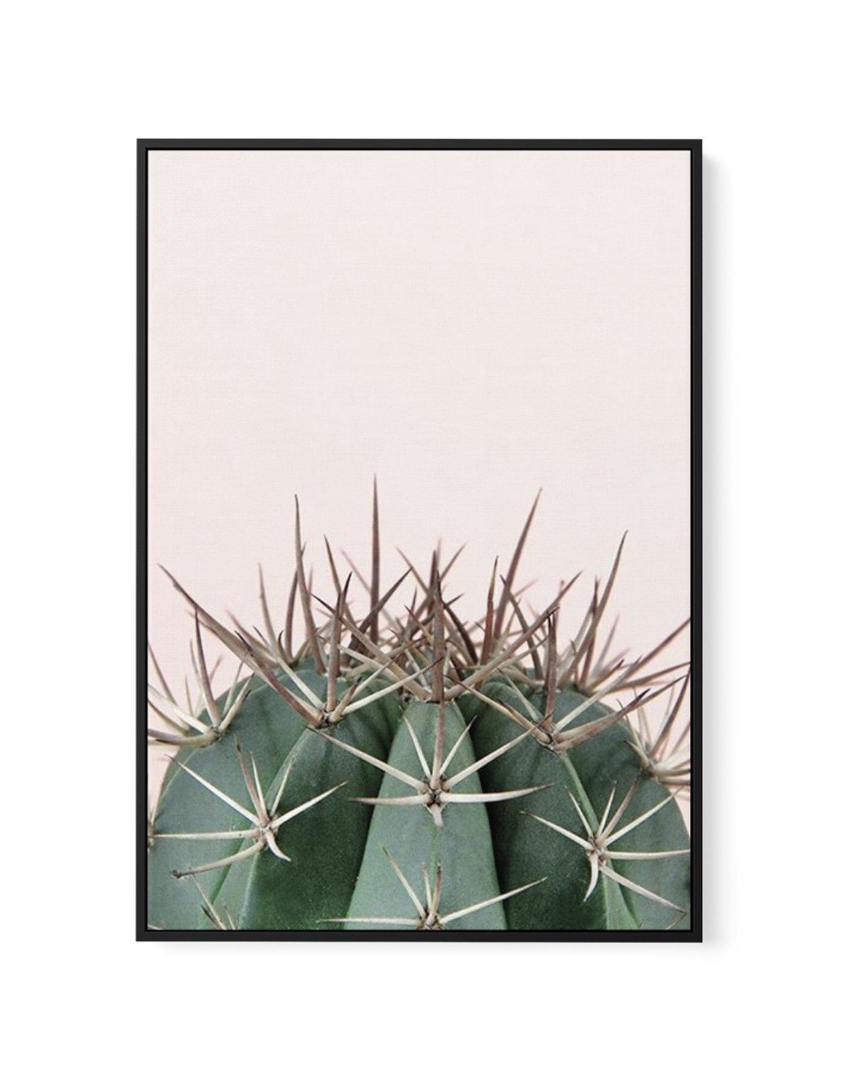 Cactus On Pink II | Framed Canvas-CANVAS-You can shop wall art online with Olive et Oriel for everything from abstract art to fun kids wall art. Our beautiful modern art prints and canvas art are available from large canvas prints to wall art paintings and our proudly Australian artwork collection offers only the highest quality framed large wall art and canvas art Australia - You can buy fashion photography prints or Hampton print posters and paintings on canvas from Olive et Oriel and have the