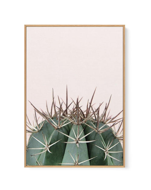 Cactus On Pink II | Framed Canvas-CANVAS-You can shop wall art online with Olive et Oriel for everything from abstract art to fun kids wall art. Our beautiful modern art prints and canvas art are available from large canvas prints to wall art paintings and our proudly Australian artwork collection offers only the highest quality framed large wall art and canvas art Australia - You can buy fashion photography prints or Hampton print posters and paintings on canvas from Olive et Oriel and have the