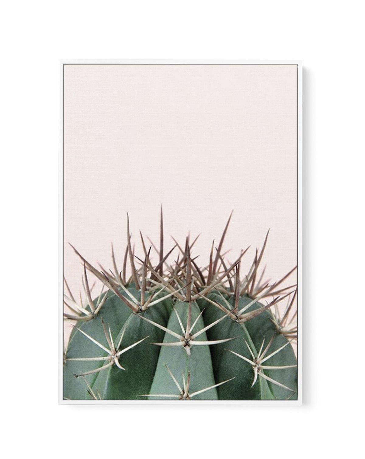 Cactus On Pink II | Framed Canvas-CANVAS-You can shop wall art online with Olive et Oriel for everything from abstract art to fun kids wall art. Our beautiful modern art prints and canvas art are available from large canvas prints to wall art paintings and our proudly Australian artwork collection offers only the highest quality framed large wall art and canvas art Australia - You can buy fashion photography prints or Hampton print posters and paintings on canvas from Olive et Oriel and have the