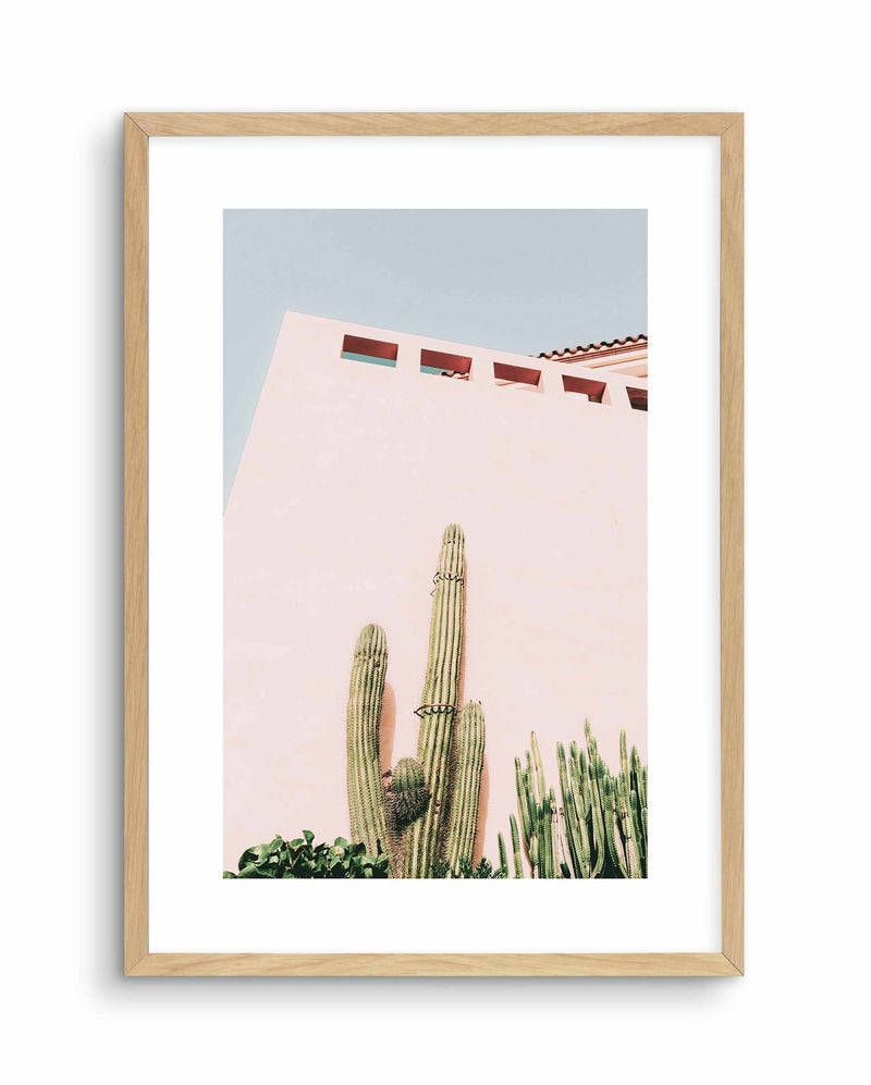 Cactus Wall I Art Print-PRINT-Olive et Oriel-Olive et Oriel-A5 | 5.8" x 8.3" | 14.8 x 21cm-Oak-With White Border-Buy-Australian-Art-Prints-Online-with-Olive-et-Oriel-Your-Artwork-Specialists-Austrailia-Decorate-With-Coastal-Photo-Wall-Art-Prints-From-Our-Beach-House-Artwork-Collection-Fine-Poster-and-Framed-Artwork