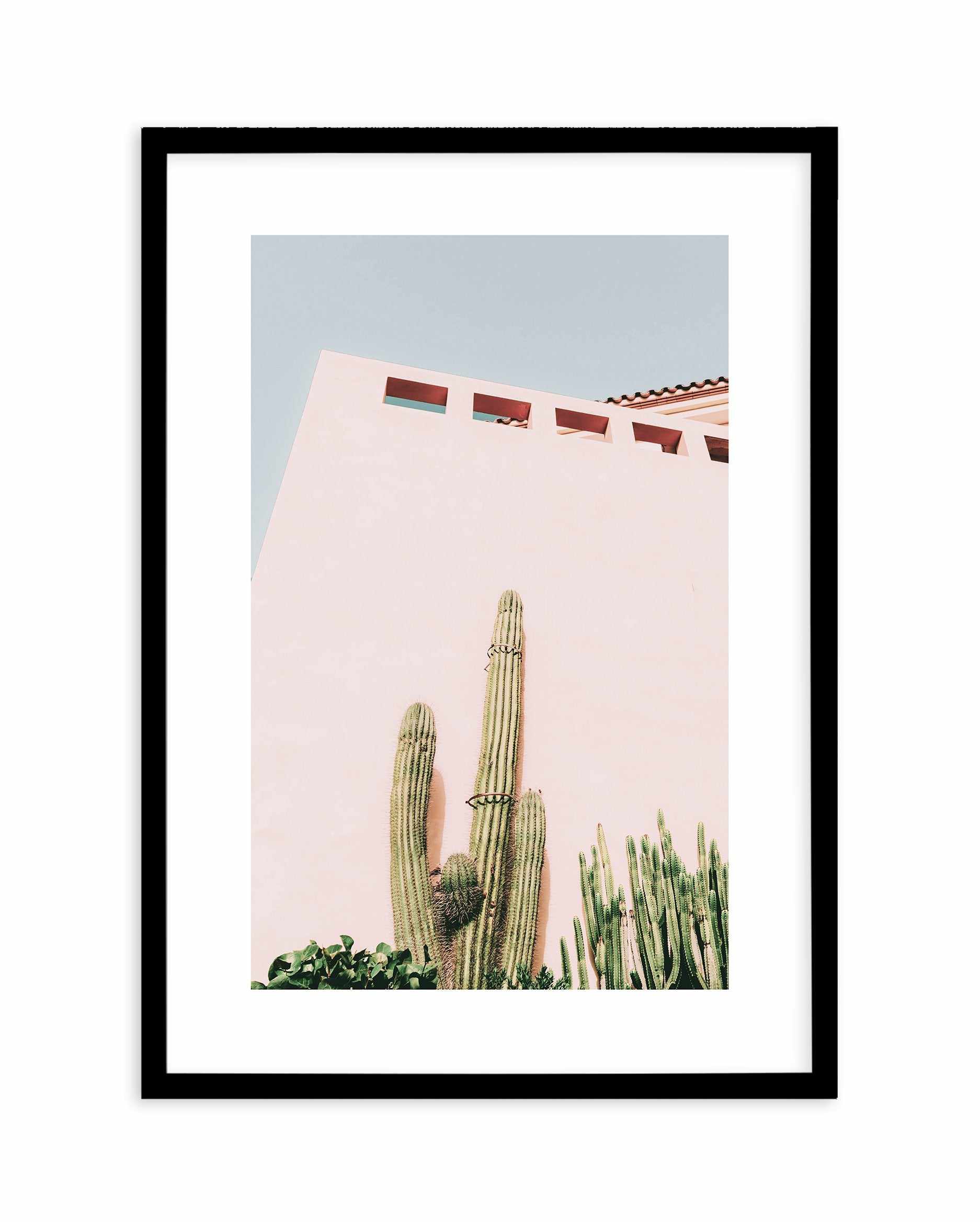 Cactus Wall I Art Print-PRINT-Olive et Oriel-Olive et Oriel-A5 | 5.8" x 8.3" | 14.8 x 21cm-Black-With White Border-Buy-Australian-Art-Prints-Online-with-Olive-et-Oriel-Your-Artwork-Specialists-Austrailia-Decorate-With-Coastal-Photo-Wall-Art-Prints-From-Our-Beach-House-Artwork-Collection-Fine-Poster-and-Framed-Artwork