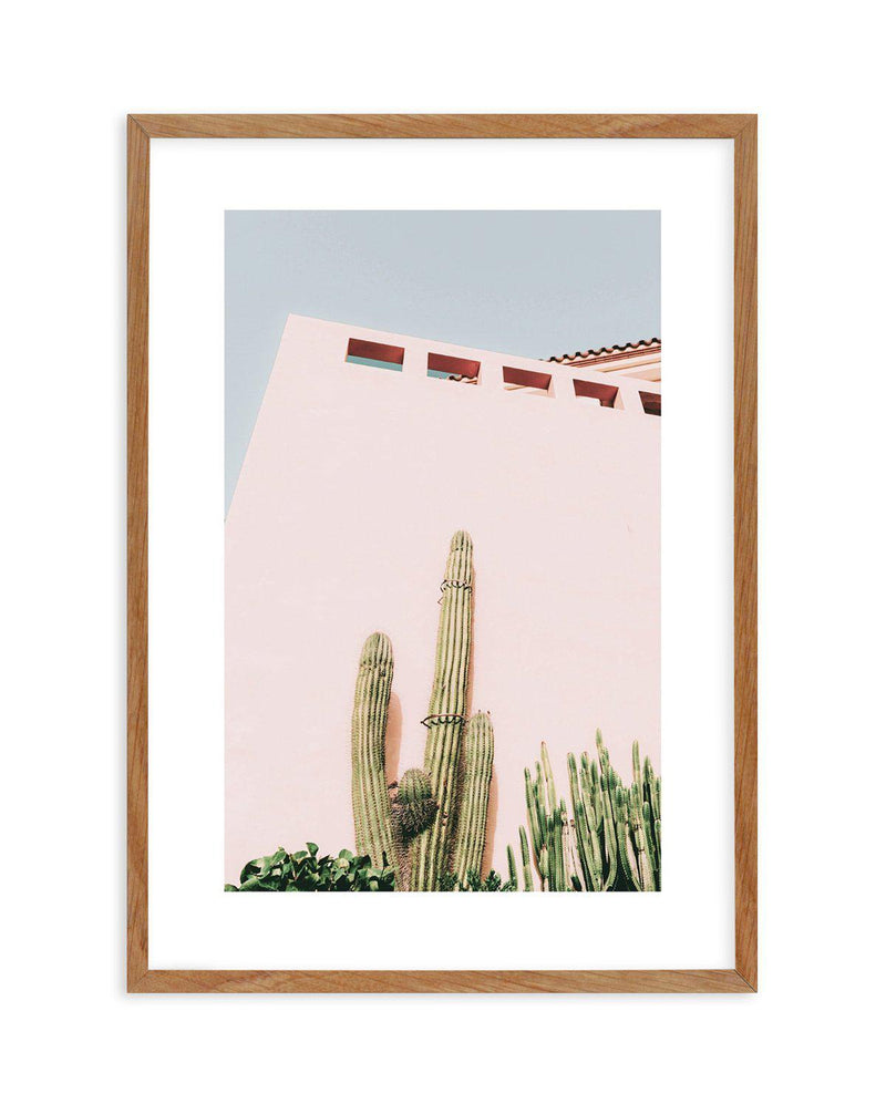 Cactus Wall I Art Print-PRINT-Olive et Oriel-Olive et Oriel-50x70 cm | 19.6" x 27.5"-Walnut-With White Border-Buy-Australian-Art-Prints-Online-with-Olive-et-Oriel-Your-Artwork-Specialists-Austrailia-Decorate-With-Coastal-Photo-Wall-Art-Prints-From-Our-Beach-House-Artwork-Collection-Fine-Poster-and-Framed-Artwork