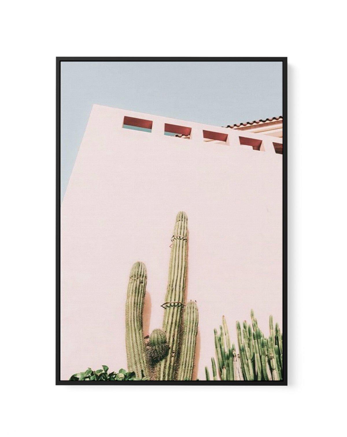 Cactus Wall I | Framed Canvas-CANVAS-You can shop wall art online with Olive et Oriel for everything from abstract art to fun kids wall art. Our beautiful modern art prints and canvas art are available from large canvas prints to wall art paintings and our proudly Australian artwork collection offers only the highest quality framed large wall art and canvas art Australia - You can buy fashion photography prints or Hampton print posters and paintings on canvas from Olive et Oriel and have them de