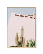 Cactus Wall I | Framed Canvas-CANVAS-You can shop wall art online with Olive et Oriel for everything from abstract art to fun kids wall art. Our beautiful modern art prints and canvas art are available from large canvas prints to wall art paintings and our proudly Australian artwork collection offers only the highest quality framed large wall art and canvas art Australia - You can buy fashion photography prints or Hampton print posters and paintings on canvas from Olive et Oriel and have them de
